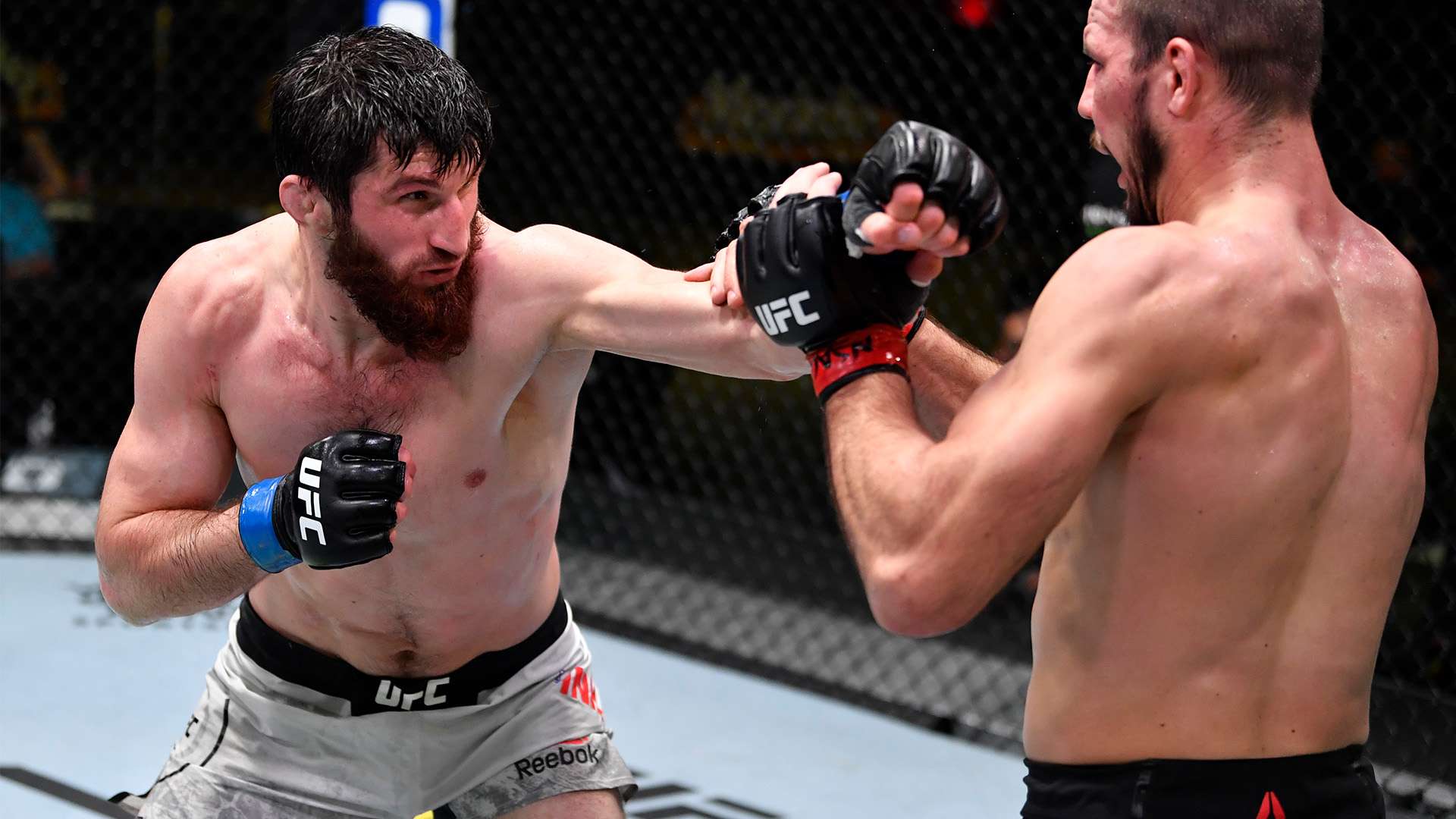 儘管森林狼 儘管森林狼