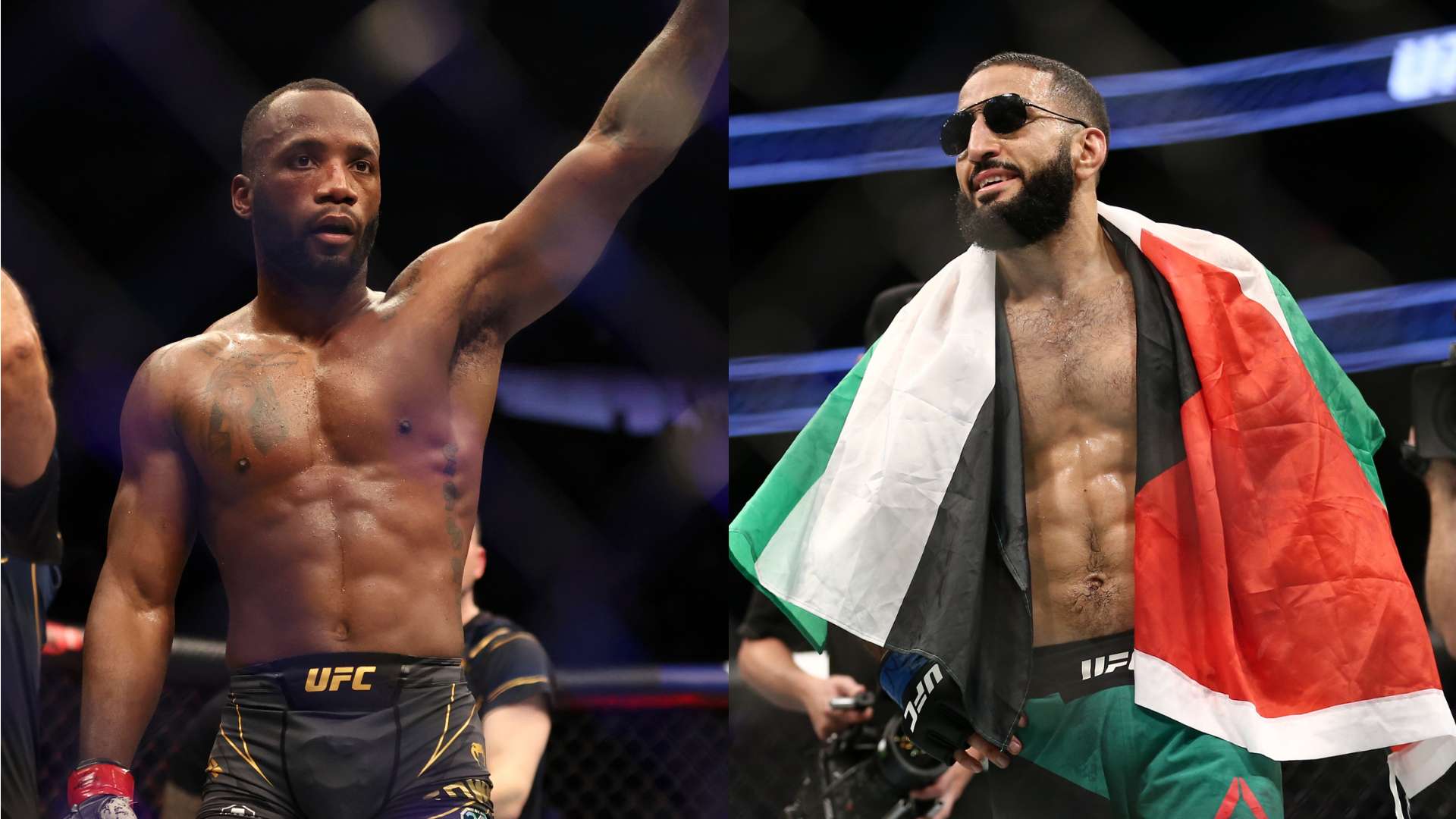 布冯的个人 布冯的个人