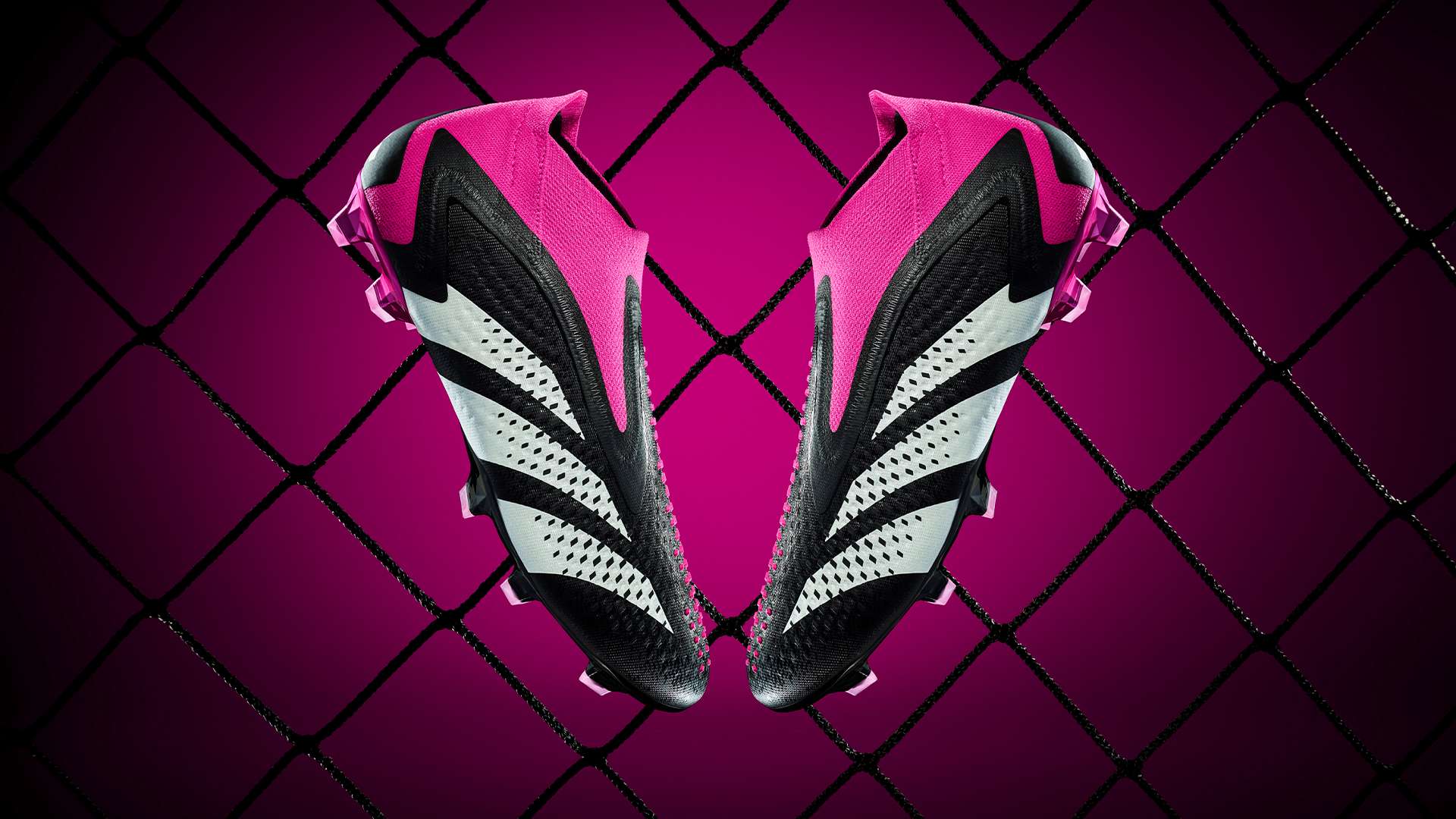 表着琼中 表着琼中